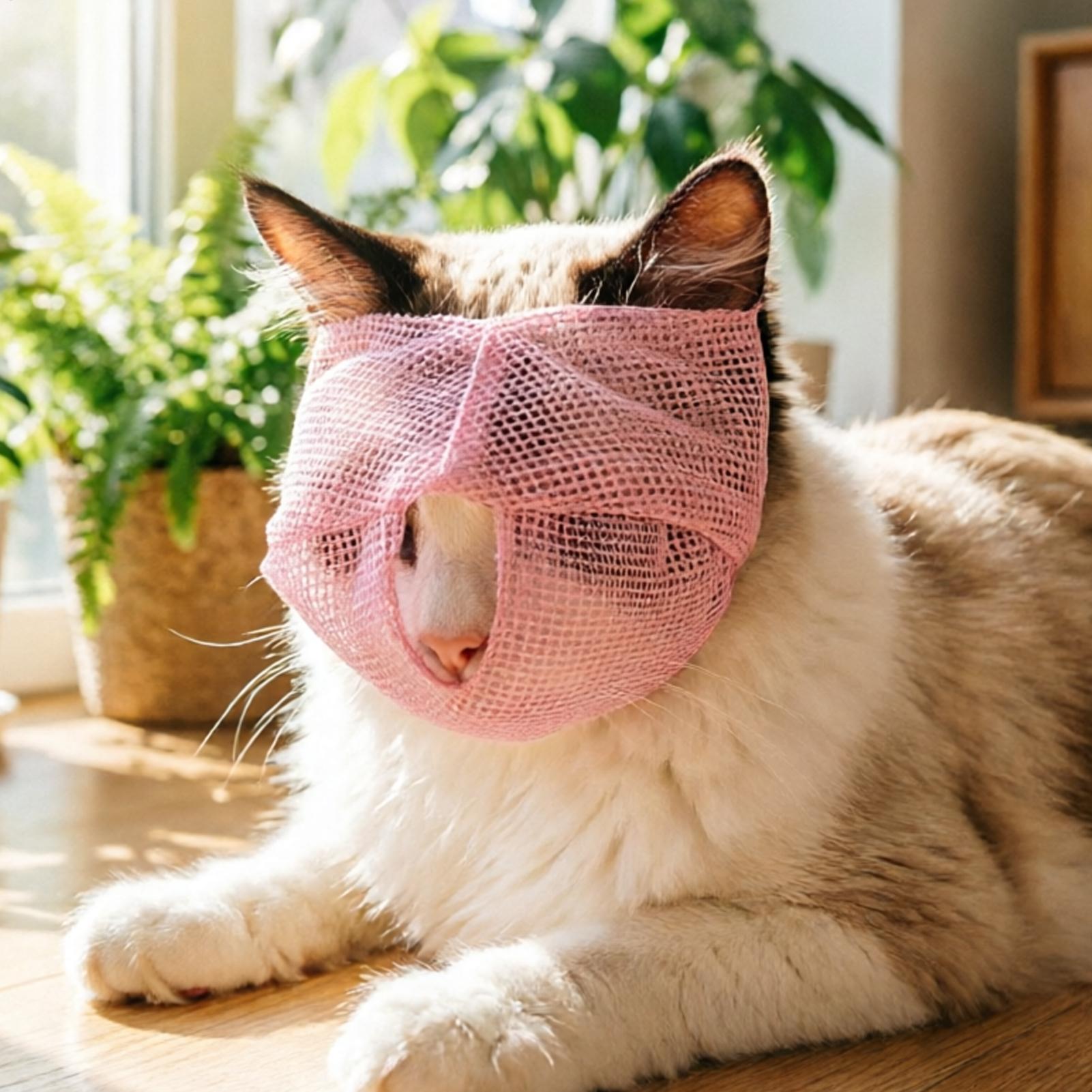 Pet Supplies Vet - 猫用マズル 通気性メッシュ 調節可能 猫の噛みつき防止マズル 通気性メッシュ 子猫を落ち着かせる