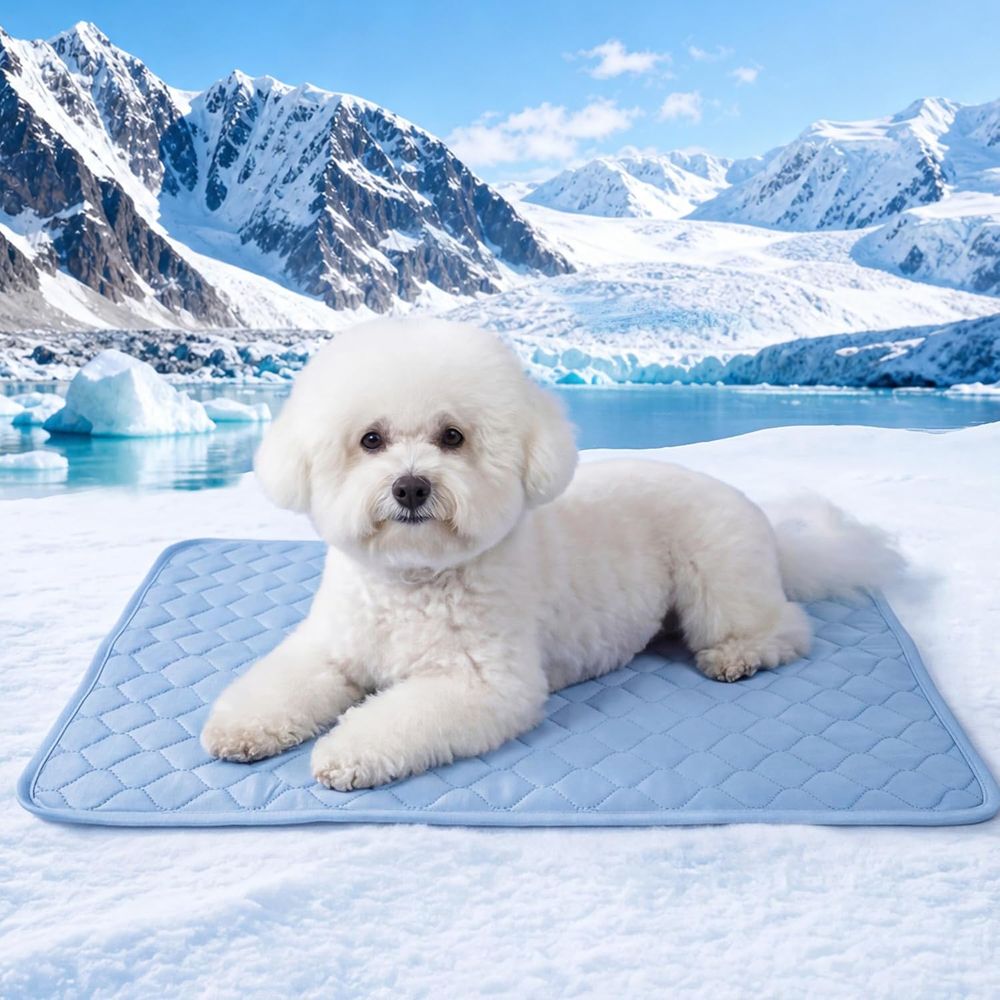 Dog Cooling Mat - 小型犬、子犬、猫用冷却パッド、22x28インチ、夏用洗えるブルーペットマット
