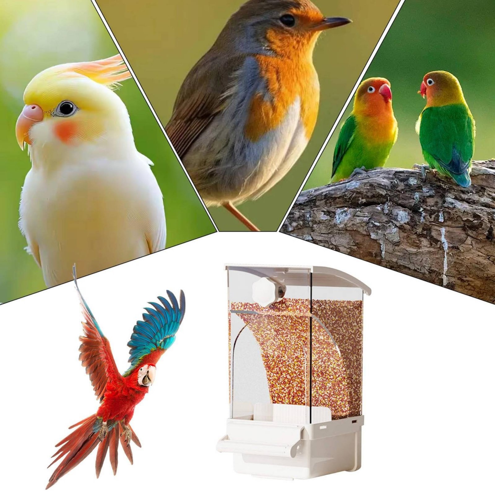Pet Supplies In - 自動鳥用フィーダー 殻分離式 汚れのない鳥用フィーダー 汚れのない容器 大容量 ペット用品