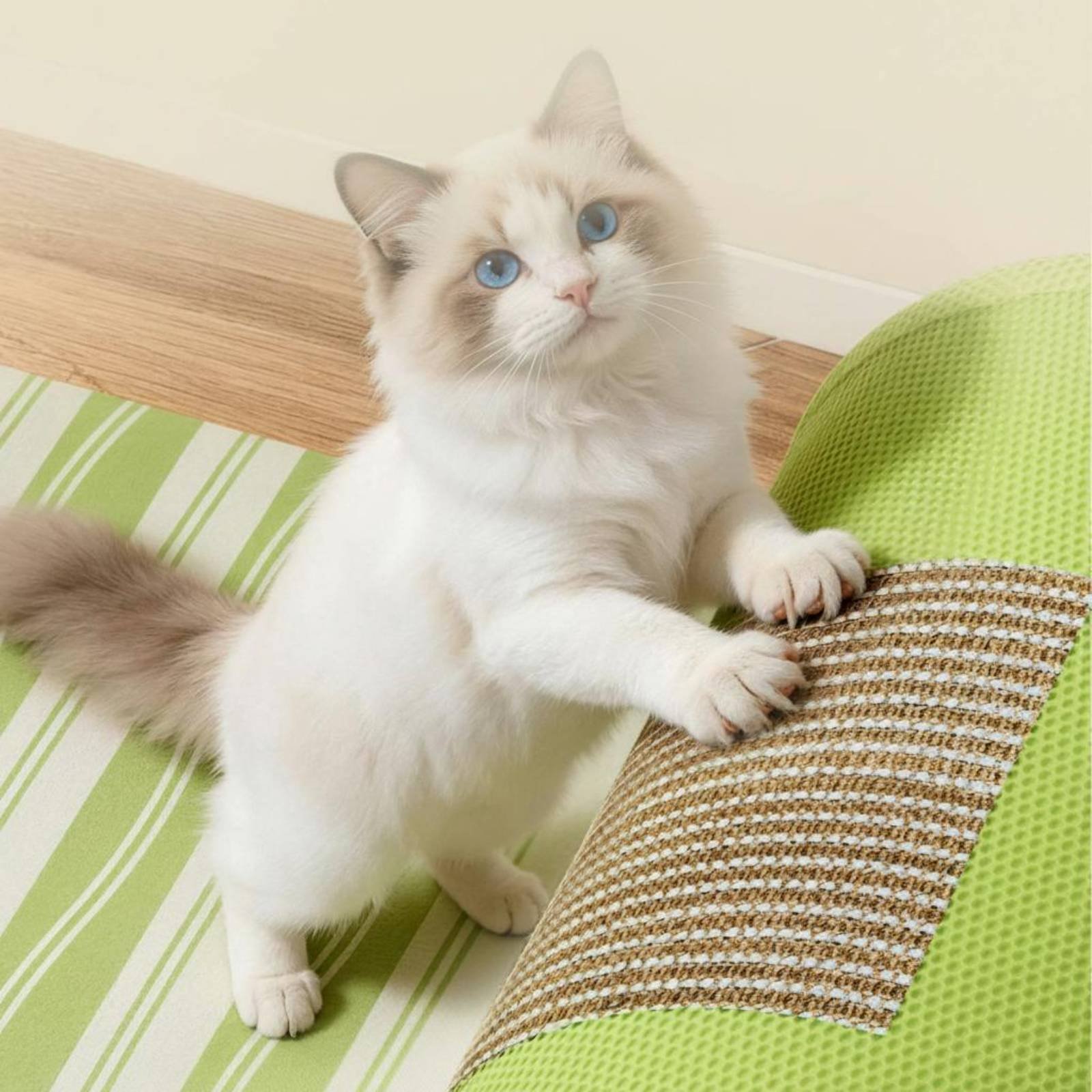 Cat Tunnel Toy - 猫用スクラッチャートンネル 吊り下げ式おもちゃ付き 猫用トンネルベッド 室内用ペット用品
