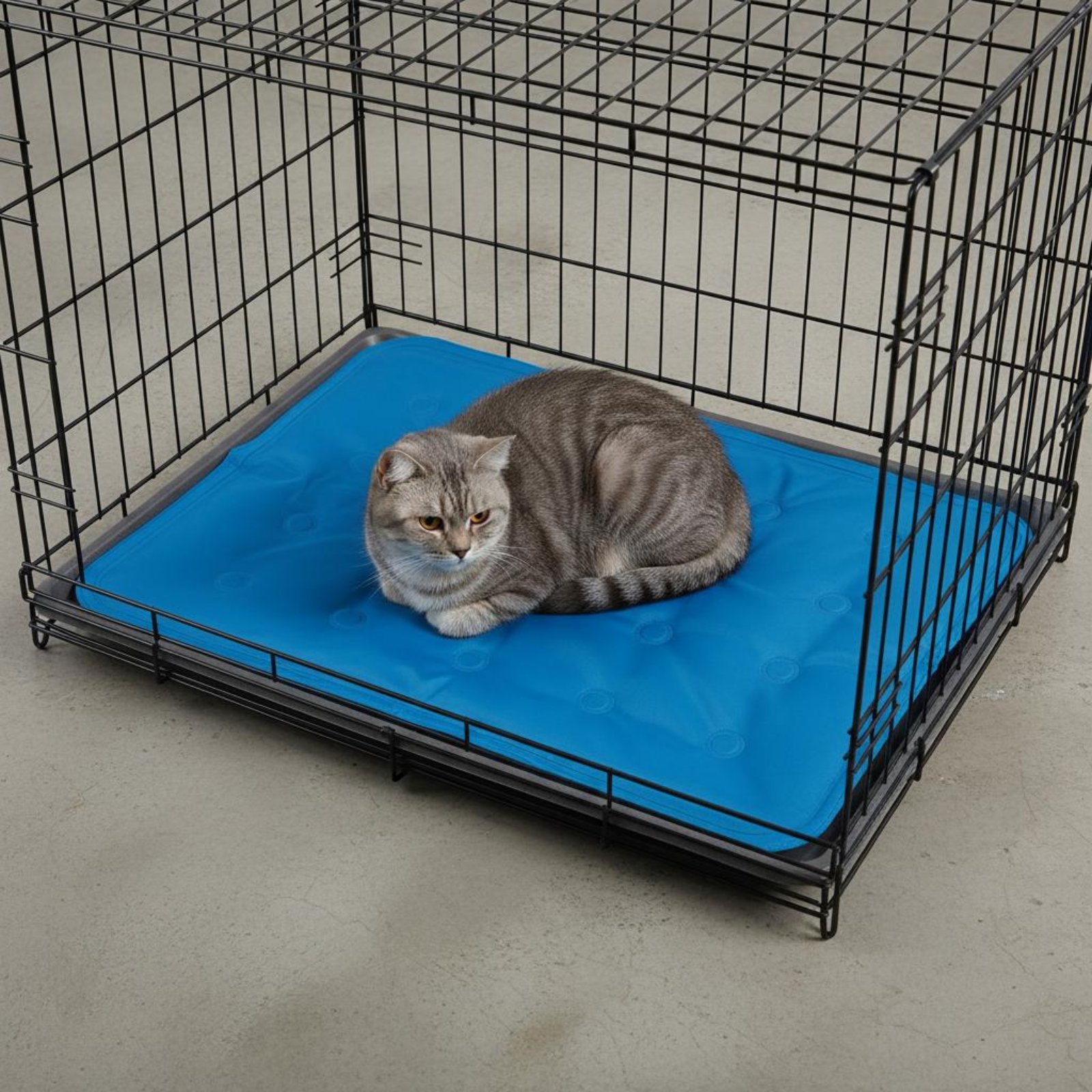 ペット用冷却マット ジェル冷却パッド 長時間持続する圧力作動 - Dog Cooling Mat のレビューと価格