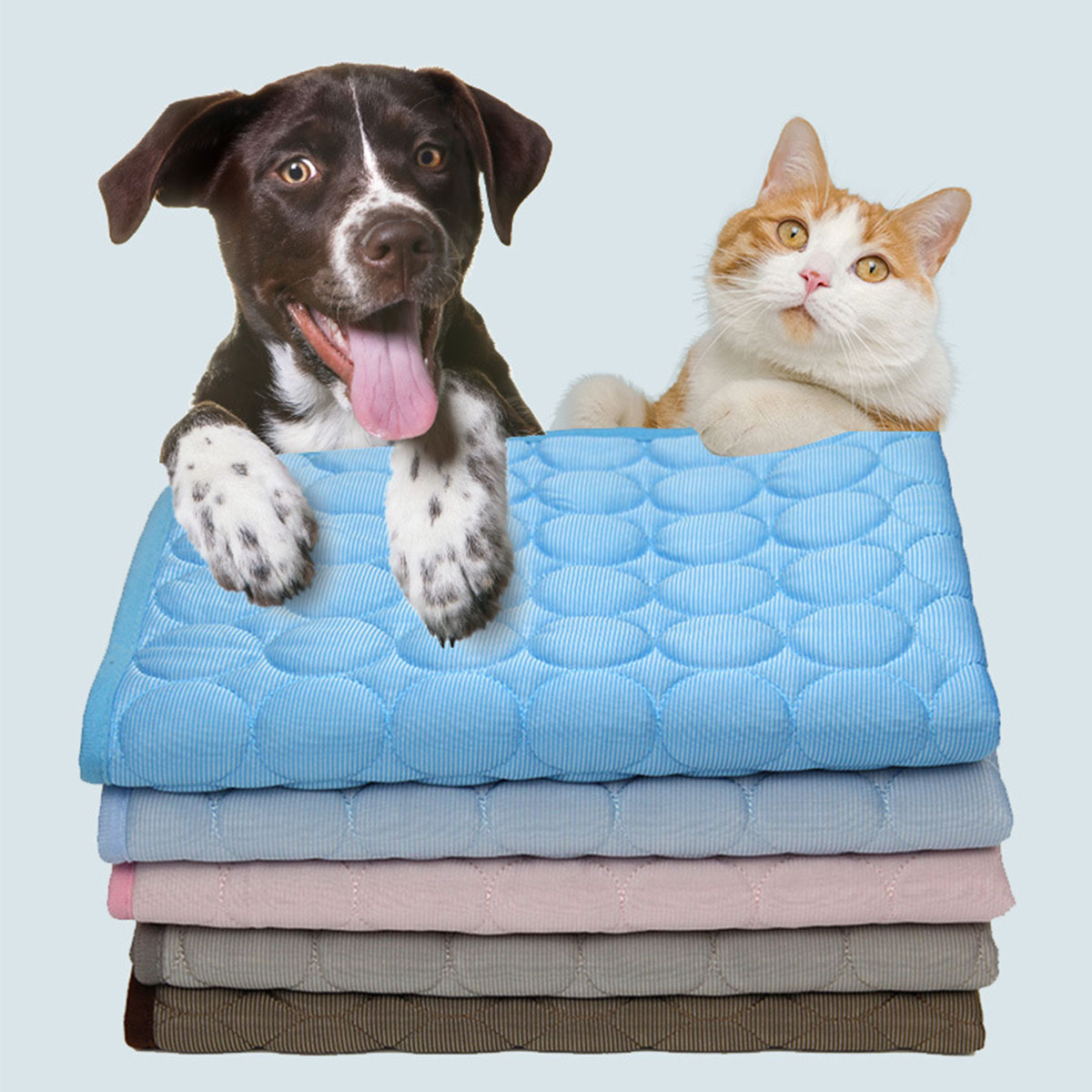 ペット用アイスシート 夏用 猫 犬 ソファ ネストベッド 冷 - Dog Cooling Mat のレビューと価格