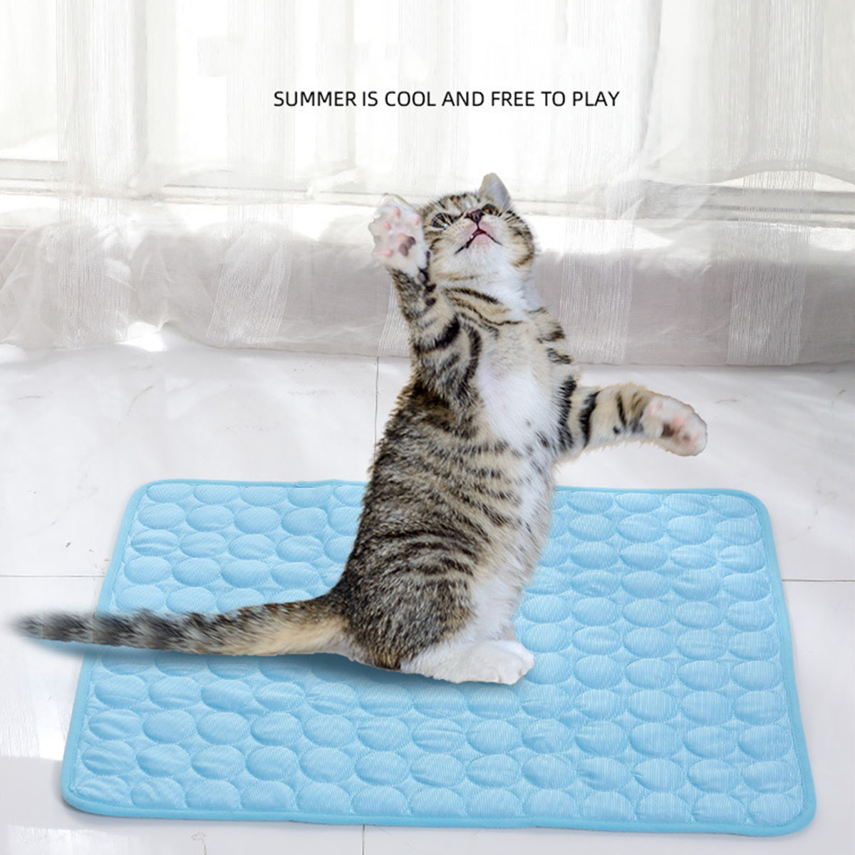 ペット用アイスシート 夏用 猫 犬 ソファ ネストベッド 冷 - Dog Cooling Mat のレビューと価格
