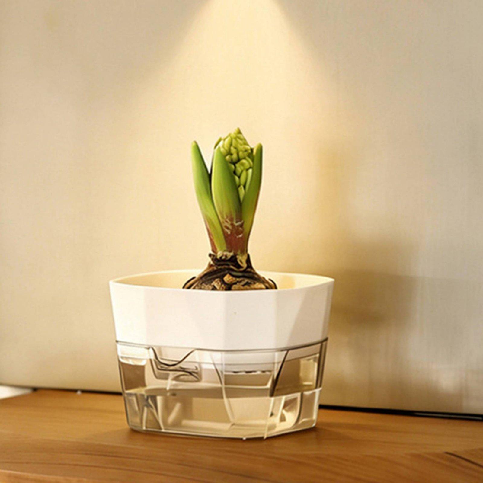 水耕栽培用花瓶 二層式自動給水プランター 透明PET製植木鉢 - Pet Supplies In のレビューと価格