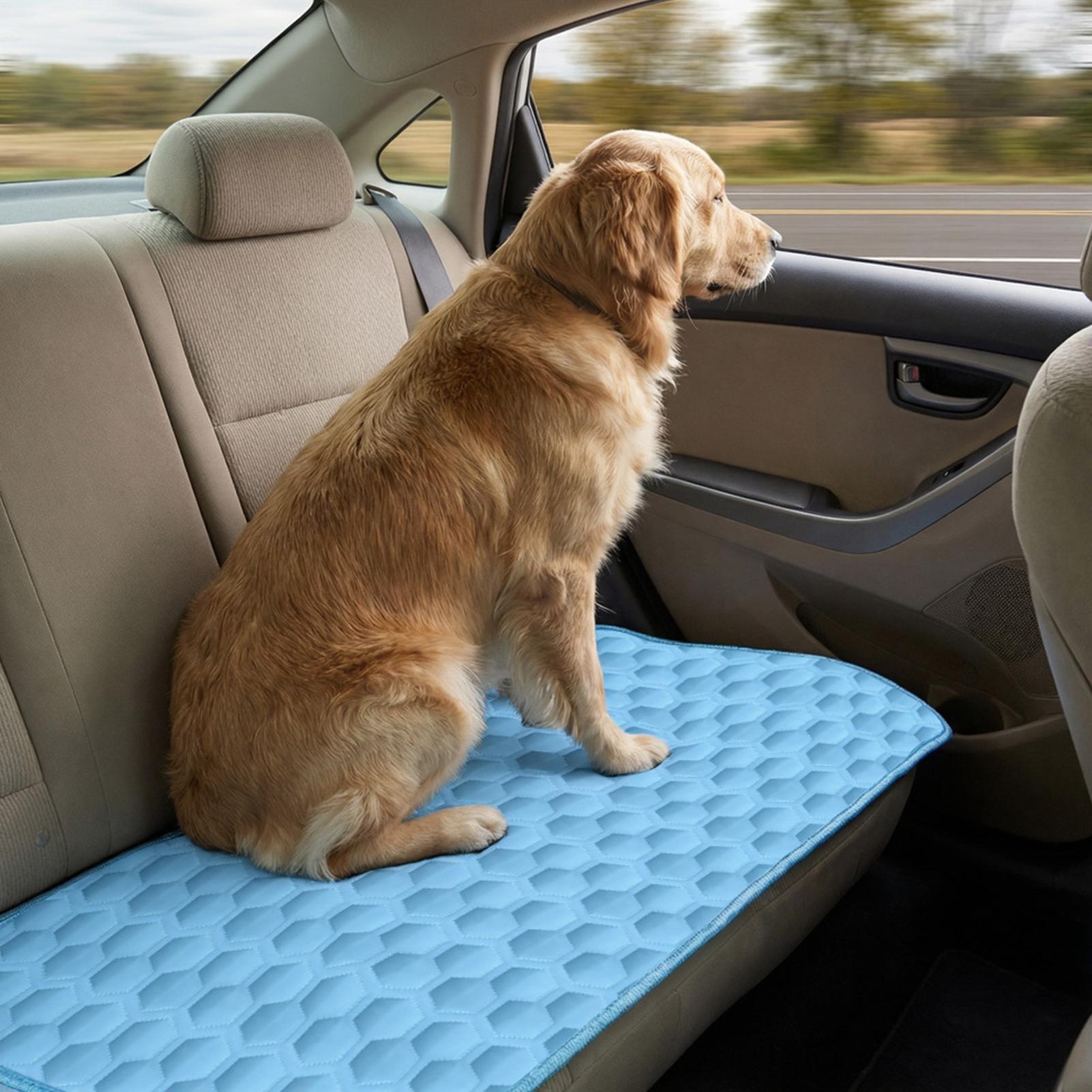 犬用冷却マット 噛みつき防止クッション 室内用犬用冷却ベッド - Dog Cooling Mat のレビューと価格