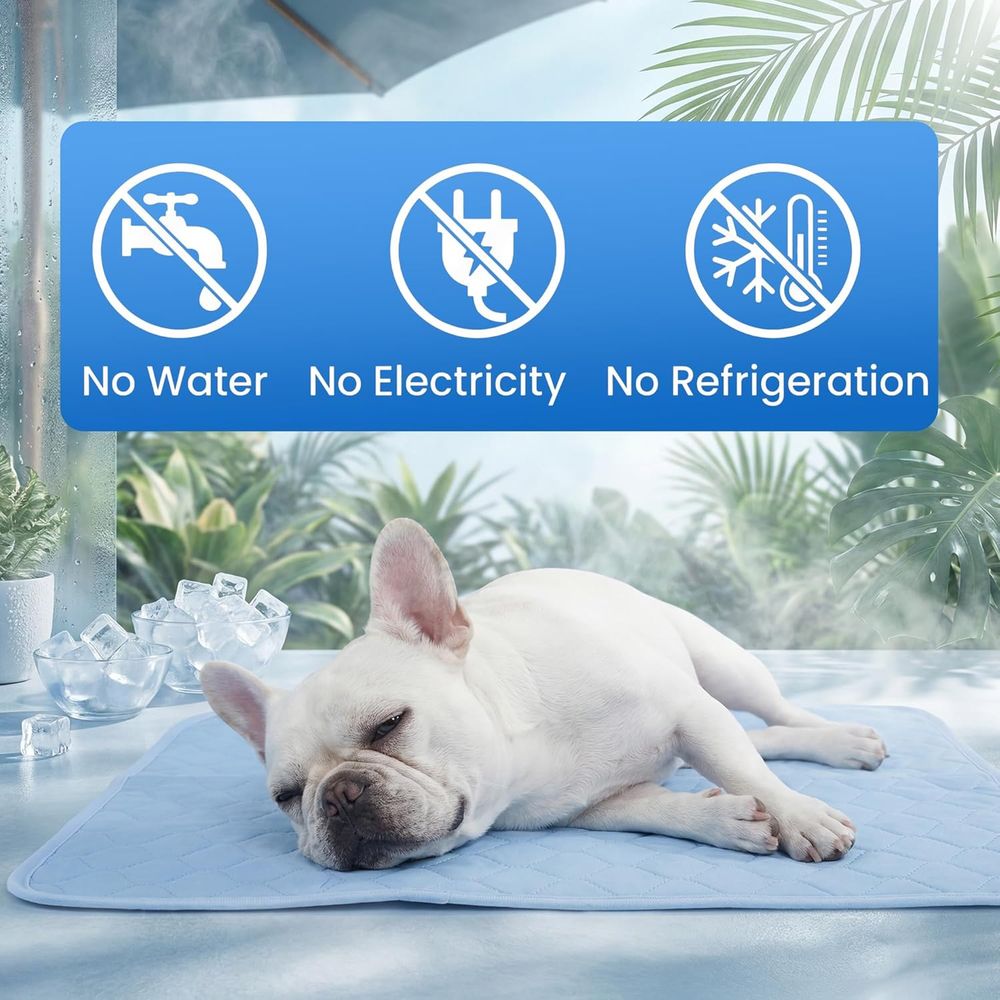 小型犬、子犬、猫用冷却パッド、22x28インチ、夏用洗えるブ - Dog Cooling Mat のレビューと価格