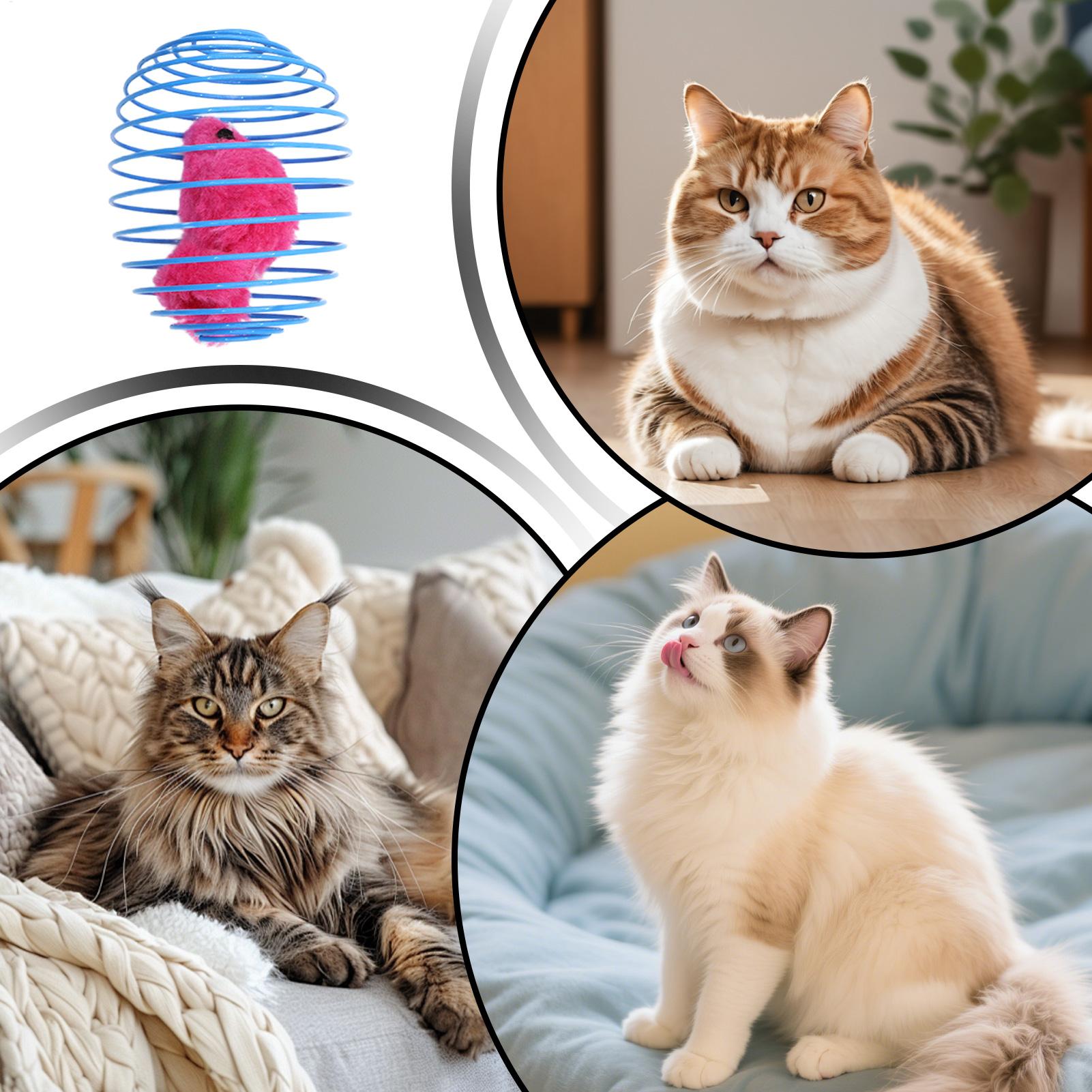 猫用スパイラルおもちゃ、インタラクティブで楽しいカラフルな伸 - Cat Tunnel Toy のレビューと価格