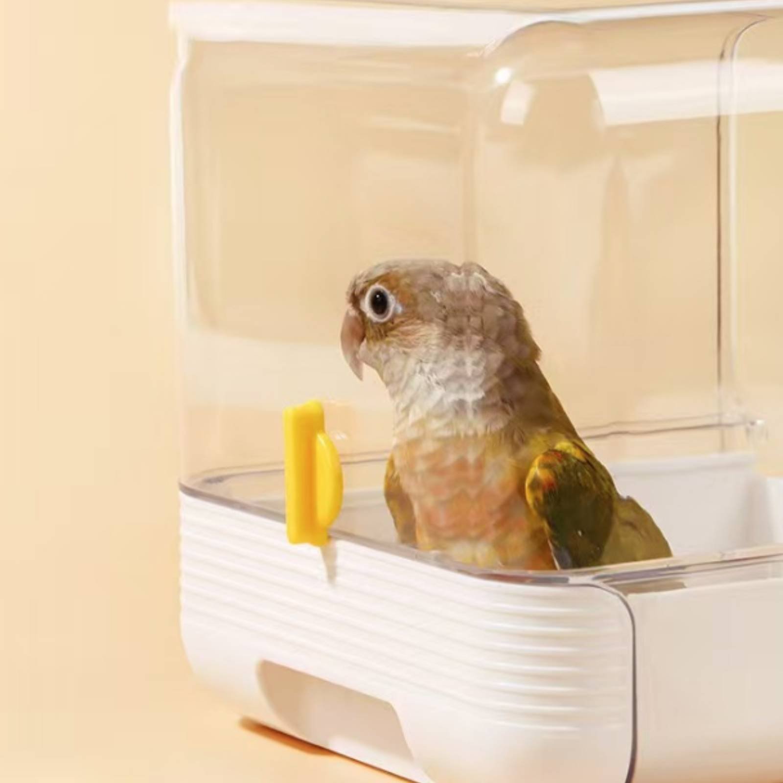 オウム用浴槽 多機能外部バードバス インコ用浴槽 無駄物を抑 - Pet Supplies In のレビューと価格