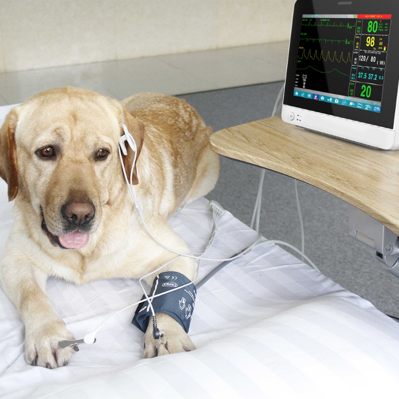獣医用ペットタッチスクリーンポータブル動物獣医ICUバイタル - Pet Supplies Vet のレビューと価格